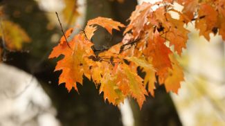 Фото из архива