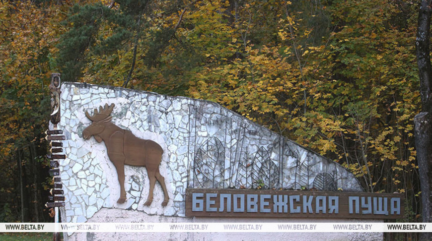 Фото из архива