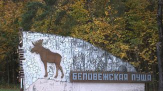 Фото из архива