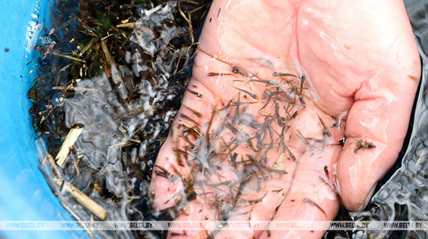 Фото из архива