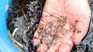 Фото из архива