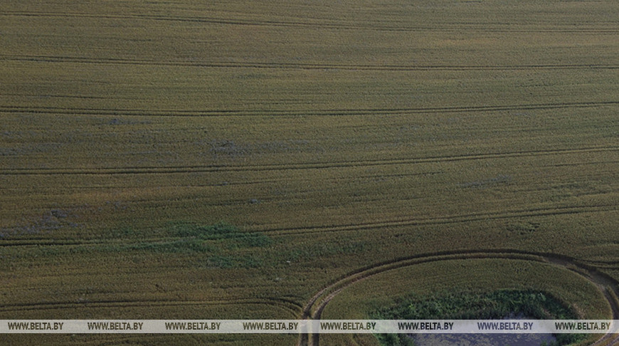 Фото из архива