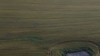 Фото из архива