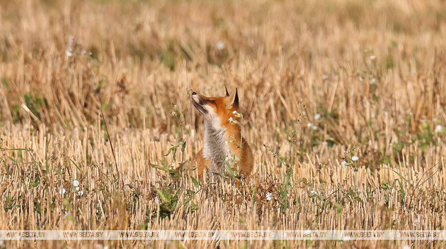 Фото из архива