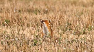 Фото из архива