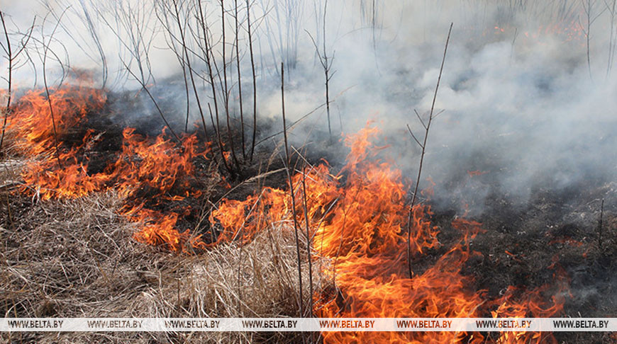 Фото из архива