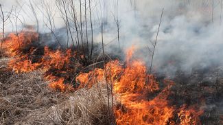 Фото из архива