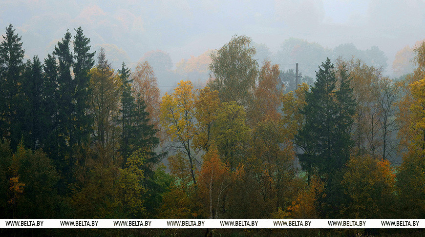 Фото из архива