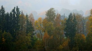 Фото из архива