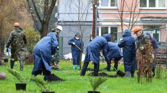 Фото из архива