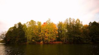 Фото из архива