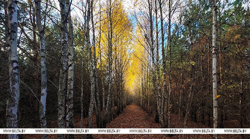 Фото из архива