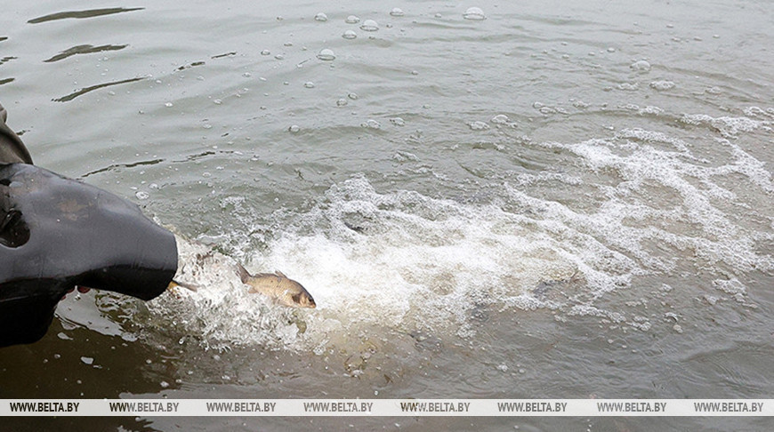 Фото из архива