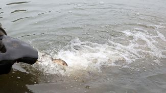 Фото из архива