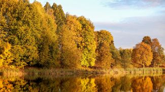 Фото из архива