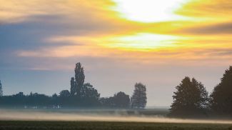 Фото из архива