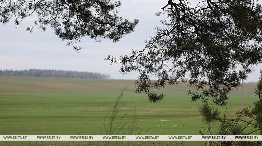 Фото из архива