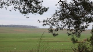 Фото из архива