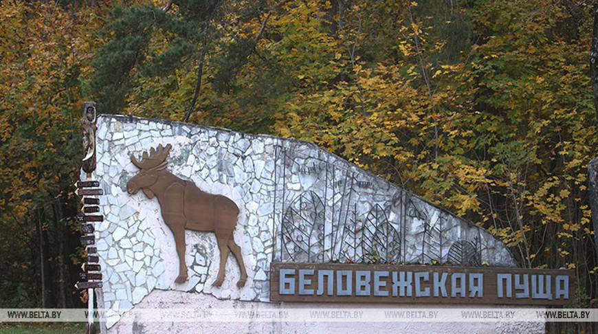 Фото из архива