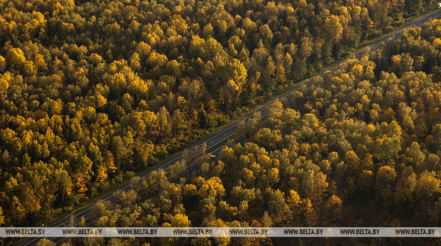 Фото из архива