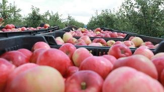 Фото из архива