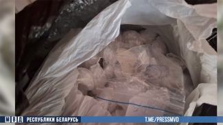 Скриншот видео МВД