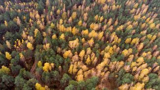 Фото из архива