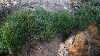 Фото из архива