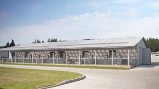 Скриншот видео