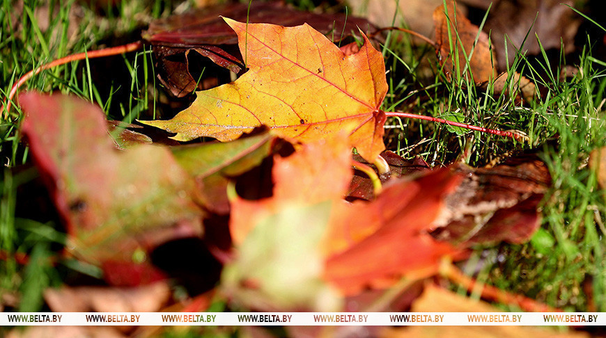 Фото из архива