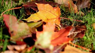 Фото из архива