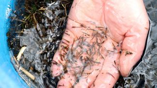 Фото из архива