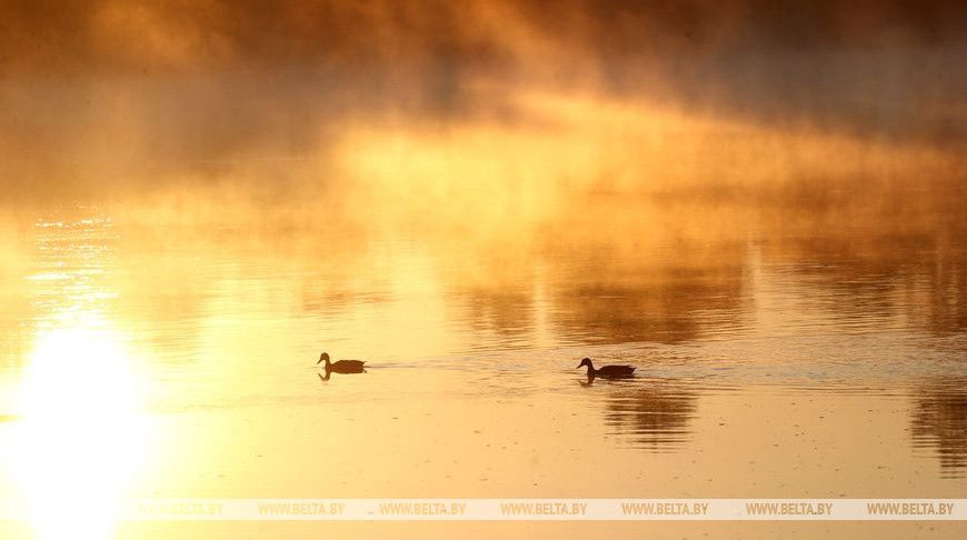 Фото из архива