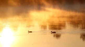 Фото из архива