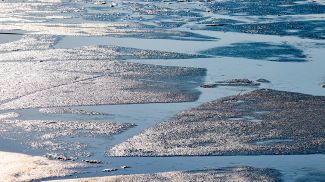 Фото из архива