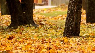 Фото из архива