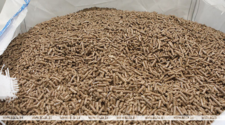 Фото из архива