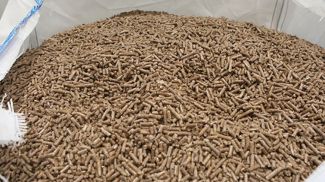 Фото из архива