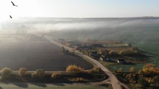 Фото из архива