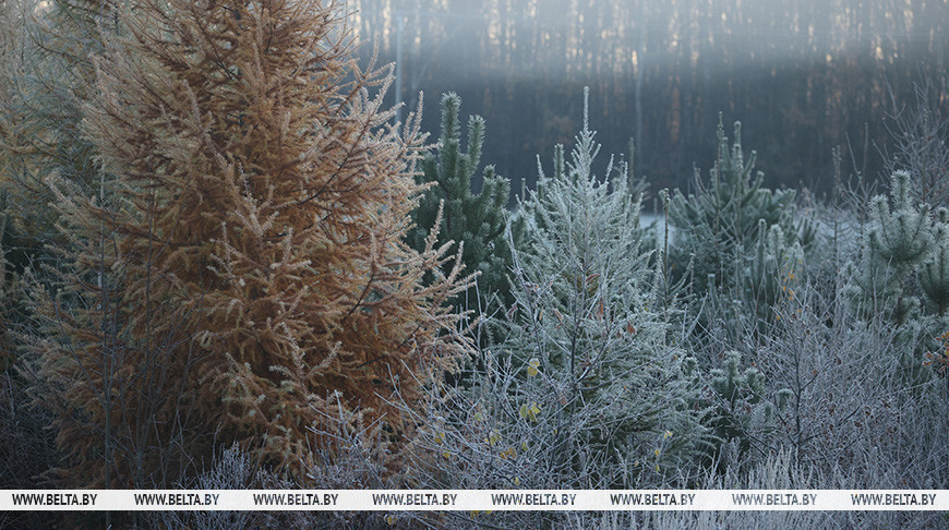 Фото из архива