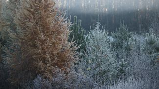 Фото из архива