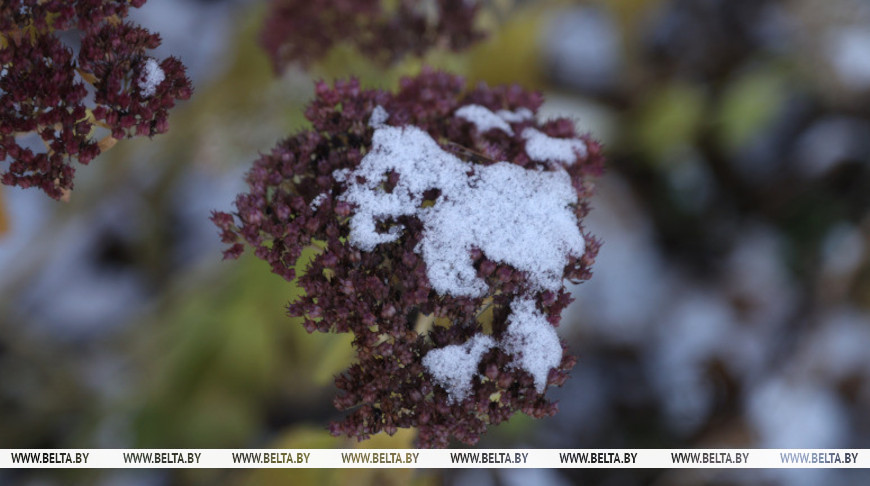 Фото из архива