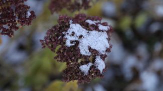 Фото из архива