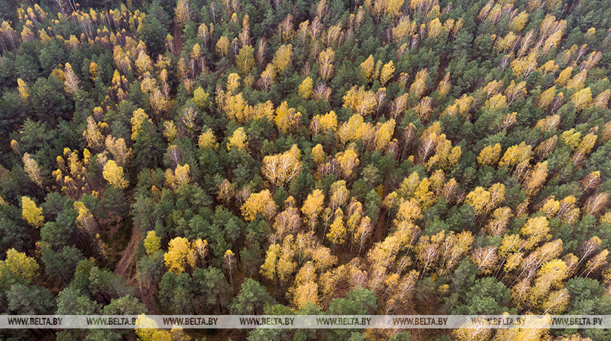 Фото из архива