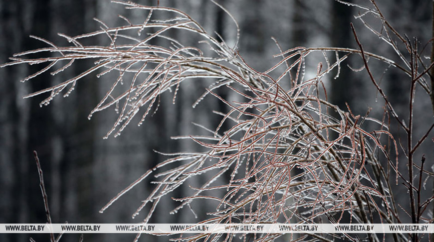 Фото из архива