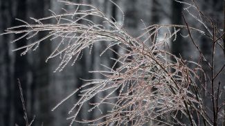 Фото из архива