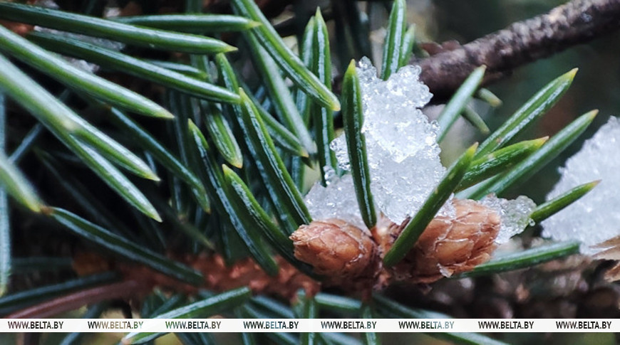 Фото из архива