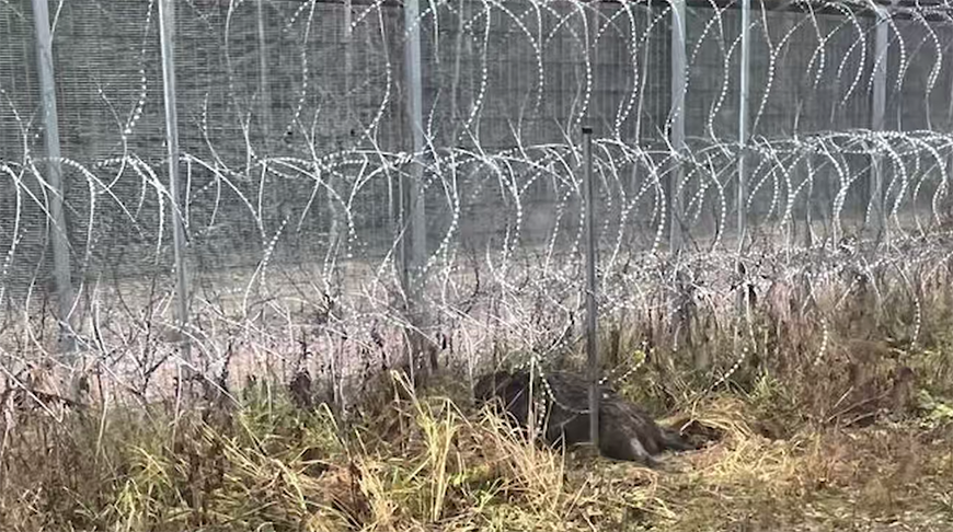 Скриншот видео ГПК