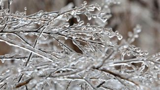 Фото из архива