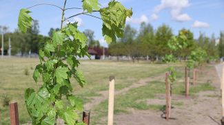 Фото из архива